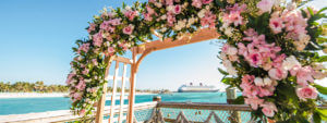 Disney Cruise wedding